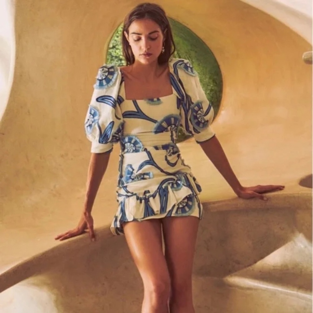Alexis San Paolo Embroidered Blue and White Linen Toile Dress - Picture 4 of 10